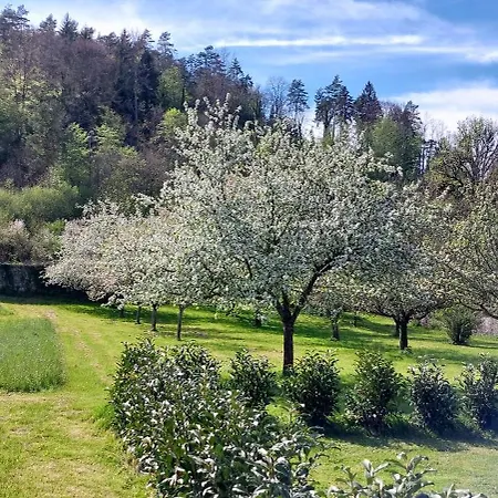 Chateau De 4* Maillat